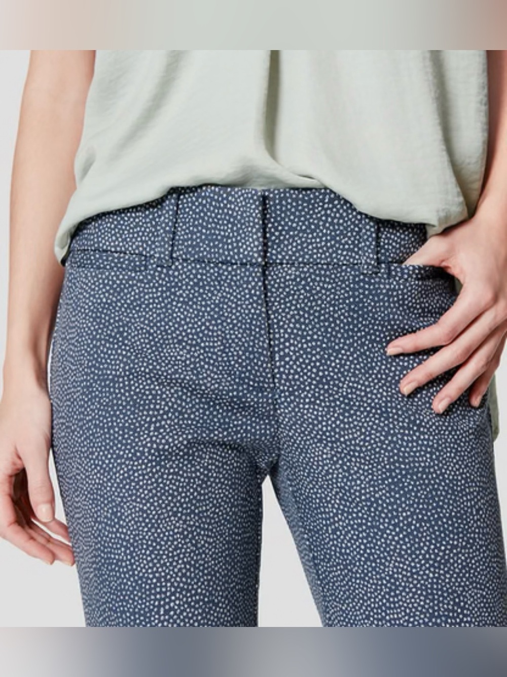 Ann Taylor LOFT Micro Dot Straight-Leg Pants